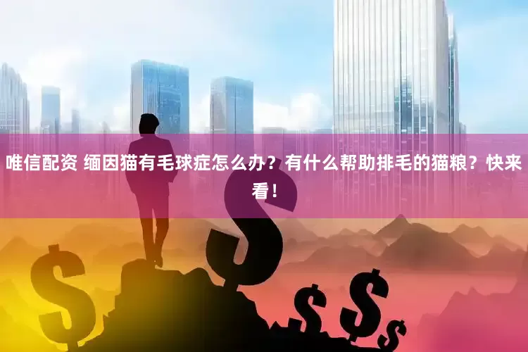 唯信配资 缅因猫有毛球症怎么办？有什么帮助排毛的猫粮？快来看！
