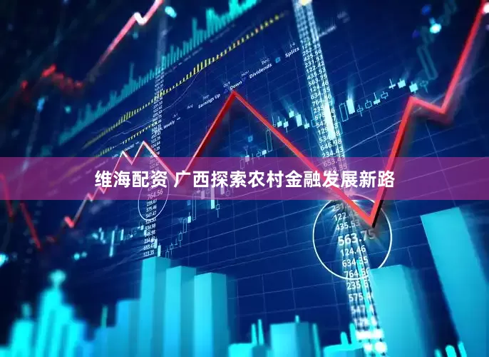 维海配资 广西探索农村金融发展新路